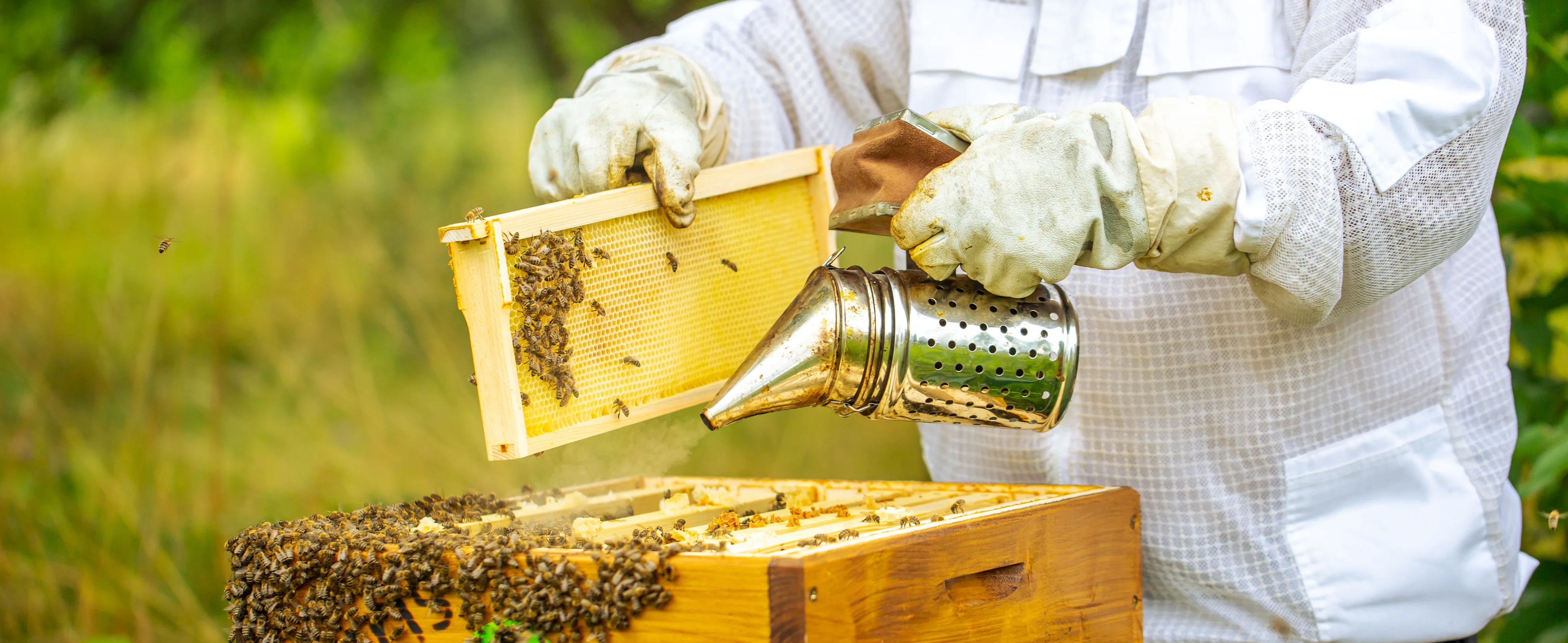 Stupina Honey Farm