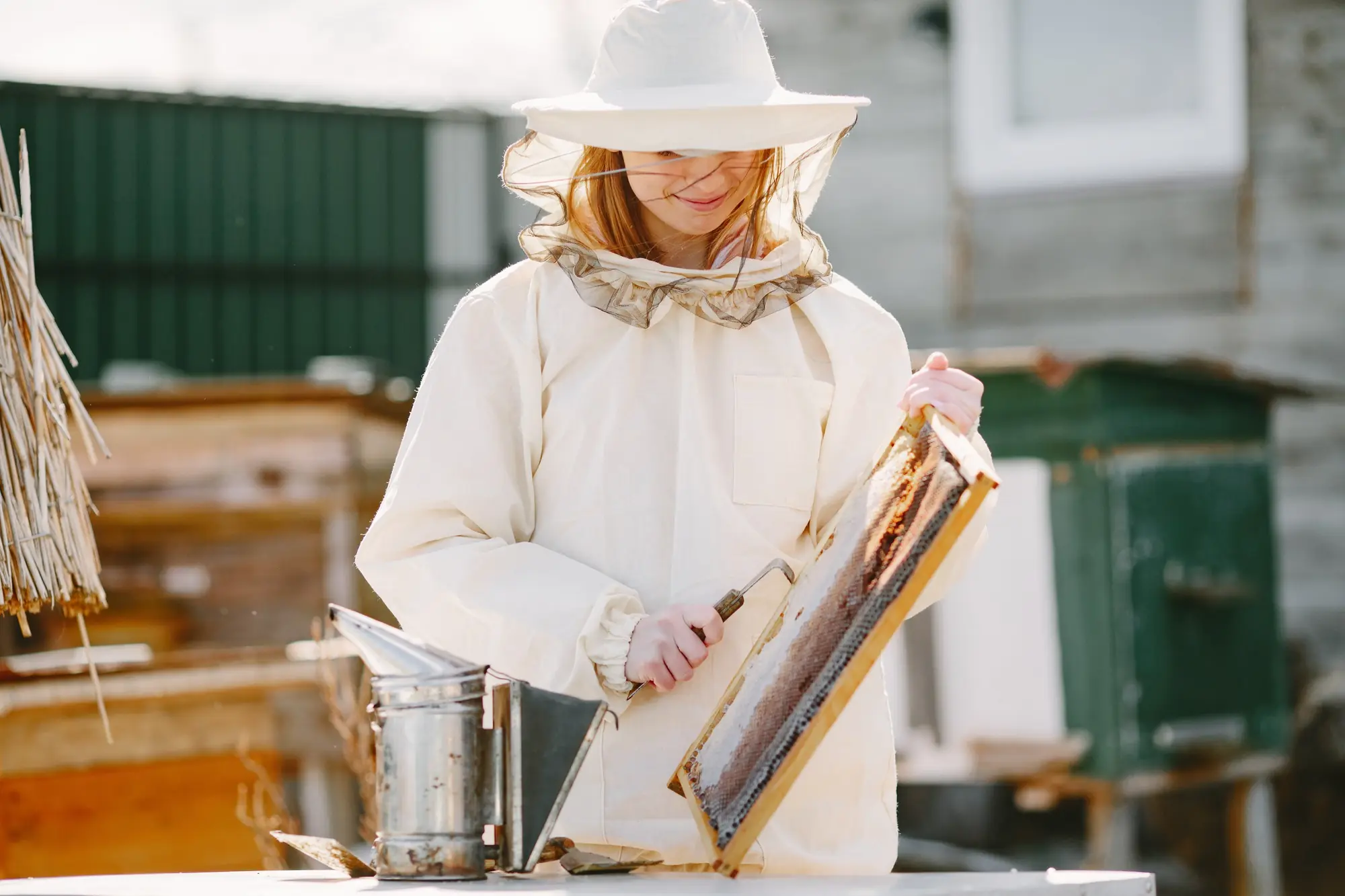 Stupina Honey Farm